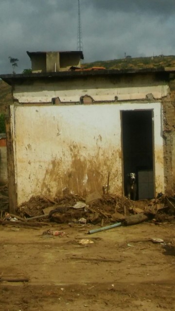 WhatsApp Image 2016-12-17 at 13.58.08.jpeg