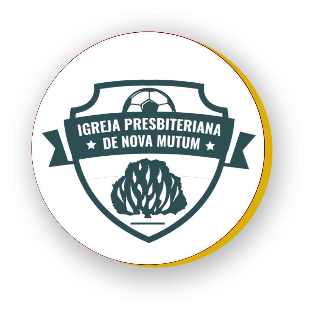 LOGO PROJETO BOLA NA REDE