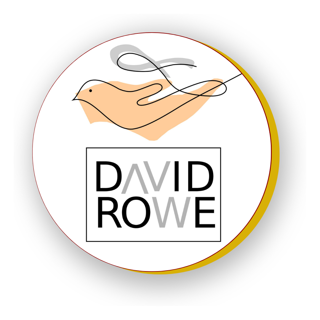 LOGO ASSOCIAÇÃO EVANGÉLICA BENEFICENTE DAVID ROWE SITE